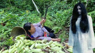 Single mother in danger in the forest Harvesting glutinous corn garden to sell Taking care of pets [upl. by Hesketh]