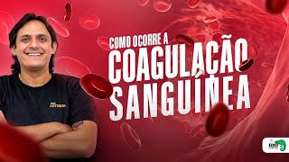 Como ocorre a coagulação sanguínea [upl. by Mlehliw]