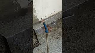 vlog honeybee funny bee insectcontrol construction tiles pest chennai insect [upl. by Noiek]