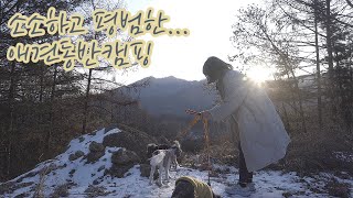 4K 23 서커스TC DX 우레탄창 설치 I 🐶세마리와 솔로캠핑 I 가평블루문캠핑장 [upl. by Galen]