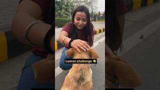 24 hours lemon Challenge 🍋 shorts foodchallenge food [upl. by Llennoc]