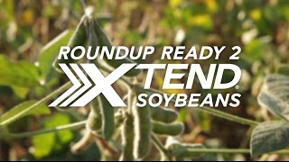 Asgrow® Roundup Ready 2 Xtend® System [upl. by Arimaj]