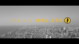 הדג נחש  בועה  הקליפ  Hadag Nahash  Bua [upl. by Lewse]