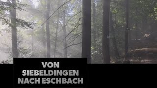 Herbstwanderung von Siebeldingen nach Eschbach [upl. by Gabbie]