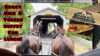 Amish Buggy Ride amp Yoders Buffet [upl. by Mendes]