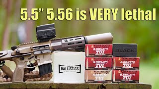 55quot 556 Ballistics Test and Comparison Maxim Defense PDXSD [upl. by Icyak]