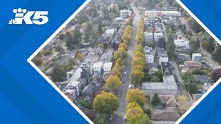 New proposal would rezone dozens of Seattle neighborhoods to make way for new housing [upl. by Michey]