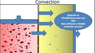 Prof Hesham Elsayed  Basic Principles of Hemodialysis part I [upl. by Antin]