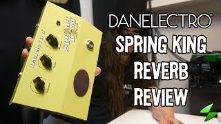 Danelectro Spring King Reverb Full review [upl. by Earezed]