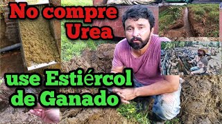 No compre Urea use Estiércol de su ganado [upl. by Gardiner961]