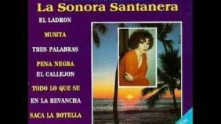 SONIA LOPEZ  EL LADRON [upl. by Onihc]