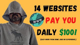 14 Websites That Will Pay You DAILY 100 Easy Work from Home Jobs No Experience [upl. by Leuqer559]