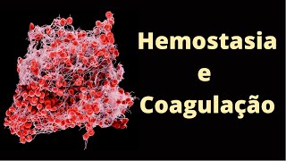 Coagulação sanguínea e hemostasia  Fisiologia Humana [upl. by Bensen667]