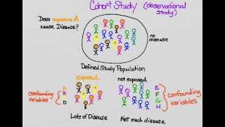 RCT vs Cohort study [upl. by Whang]