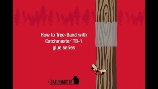 How to TreeBand with Catchmaster® TB1 glue series [upl. by Ubana]