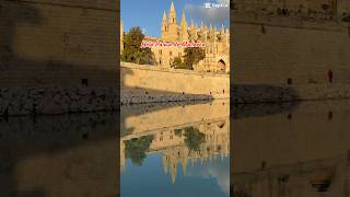 Amazing Day tour in Palma de Mallorca palmamallorca mallorca mallorcatourism discovermallorca [upl. by Coplin]