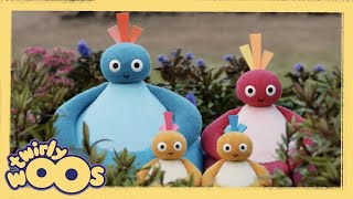 Up and Down  Twirlywoos  Videos for Kids [upl. by Carmen]