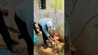 EK PED MAA KE NAAM Swachhata hi seva…🇮🇳 [upl. by Ollayos]