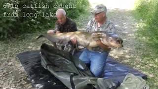 Third session on Steves lake Darenth Fishing complex [upl. by Estrin]