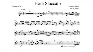 G Dinicu  J Heifetz Hora Staccato Hakan Hardenberger cornet [upl. by Carlynne928]