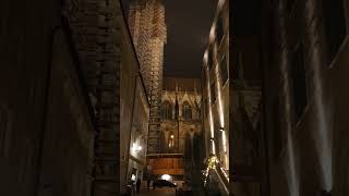 Regensburg  Dom St Peter bayern church city night tourism travel [upl. by Ross]