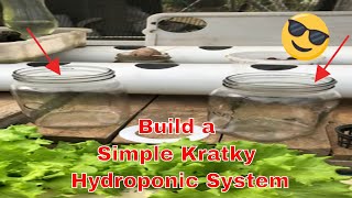 Build a Simple Kratky Hydroponic System [upl. by Tyree528]