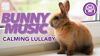 Music for Rabbits  Instantly Calm and Soothe Your Anxious Bunny 🐰 [upl. by Assener]