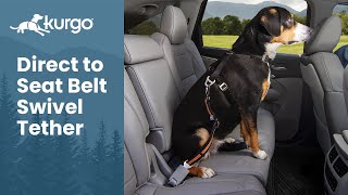 The Direct to Seatbelt Swivel Tether  Tanglefree seatbelt for dogs [upl. by Kunkle]