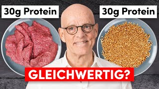 Pflanzliches Protein vs tierisches Protein Das sollten Sie wissen [upl. by Fu279]