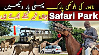 Zoo Safari park Lahoreamazing place for picnic lions park animals and lionsiftikhar Ahmed Usmani [upl. by Einalam]