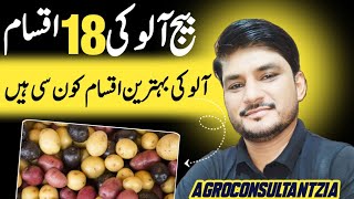 Latest Potato Seed Available in Pakistan potato seed latest [upl. by Aiyekal48]