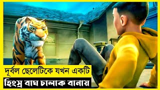 The Tigers Apprentice Movie Explain In BanglaFantasyAdventureThe World Of Keya Extra [upl. by Ttayw]