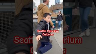 Overexcited Bennett Jumping at the Seattle Aquarium Overlooking Pier 59 [upl. by Trixi]