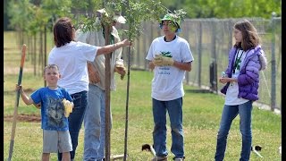 Wawona Middle School and Community Plant Trees for Earth Day [upl. by Leinnad]