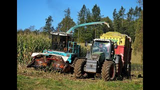 🌽Maisernte24 • Mengele Mammut • Eicher 3085 • Fendt Vario 818 • Deutz Agrotron • Classic Machines🌽 [upl. by Sutton]