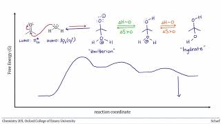 Carbonyl Additions 4 Hydrates amp Hemiacetals [upl. by Eloken]