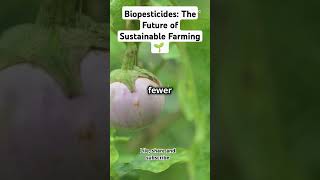 Biopesticides The Future of Sustainable Farming 🌱 trendingvideos pestcontrol science [upl. by Ainniz]