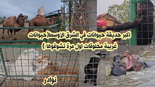 حديقة الحيوان  حديقة الحيوانات في أربيل Erbil Zoo  حيوانات غريبة مخلوقات اول مرة تشوفوها [upl. by Nareht]