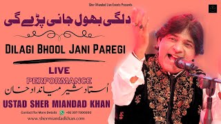 Tumhe Dillagi Bhool Jani Padegi  Sher Miandad Khan Qawwal  Live Performance  Corporate Event 2024 [upl. by Anomis]