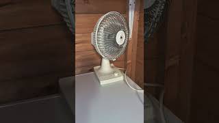 Powerstretcher PS700 7quot Desk Fan shorts [upl. by Ecirtel]