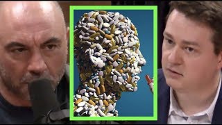 The Solution to the Opioid Crisis  Joe Rogan amp Johann Hari [upl. by Litt162]