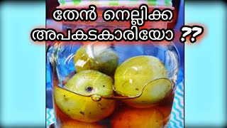 തേൻ നെല്ലിക്ക അപകടകാരിയോ 🫒 Ayurvedic method of making Then Nellikka Honey gooseberry [upl. by Claudette]