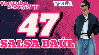 47 SALSA BAÚL Mix 2024 DJ OZUNA 🇩🇪 [upl. by Kaye]