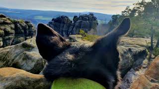 Dog Hiking im Elbsandsteingebirge [upl. by Lanoil]