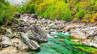 Experience raw Swiss nature at Verzasca River 🇨🇭 Switzerland 4K [upl. by Stalk]