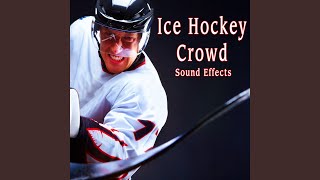 Idle Excited Hockey Crowd [upl. by Enerual]