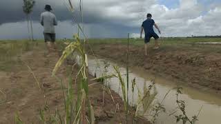 Fishing  កង្កែបច្រើនណាស់ ចាប់អត់បាន [upl. by Antonin245]