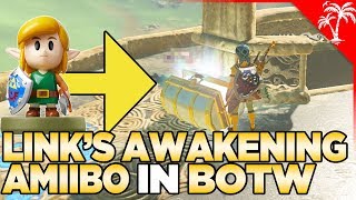 What Happens if You Scan Links Awakening Amiibo in Breath of the Wild [upl. by Alahc]