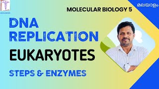 DNA Replication Biochemistry Malayalam Eukaryotic DNA Replication Malayalam Molecular Biology [upl. by Tram]