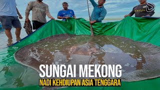 Sungai Mekong Nafas Kehidupan yang Melintasi Enam Negara [upl. by Harac]